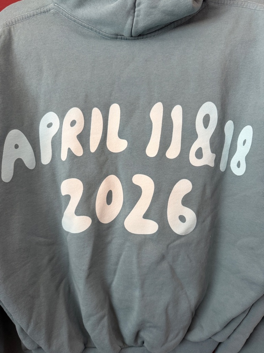 SKYLRK Justin Bieber Hoodie - Picture 2 of 7